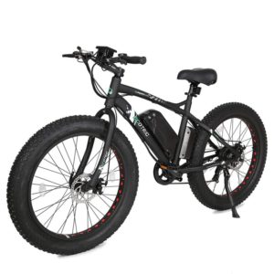 ECOTRIC Fat Tire Electric Bike Beach Snow Bicycle