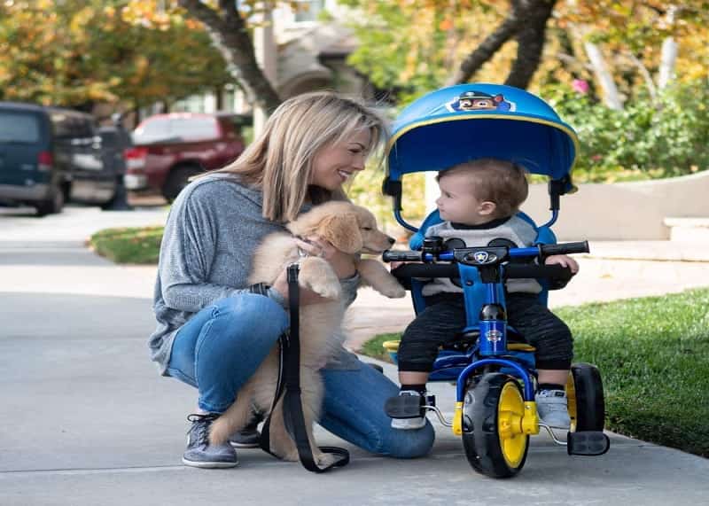 tricycle for toddlers with push bar