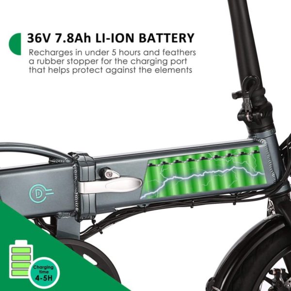 FIIDO D2S Folding EBike-battery