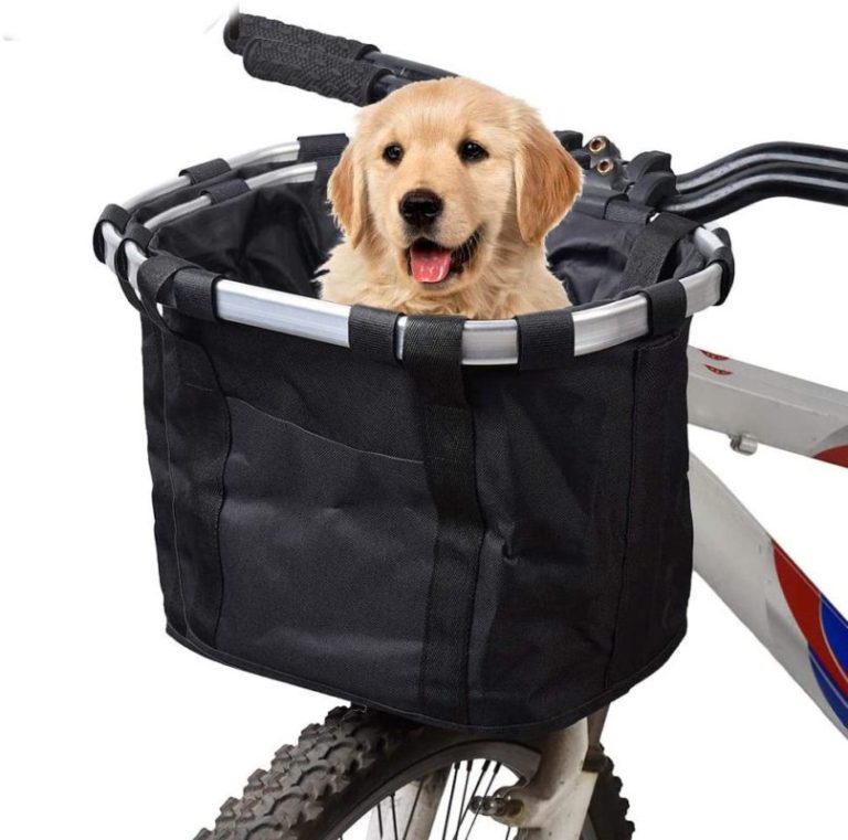 Best Motorcycle Side Car For Dogs | Motorcycle Large Dog Carrier From 2020-2022