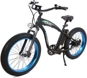 ECOTRIC Powerful Fat Tire Electric Bicycle