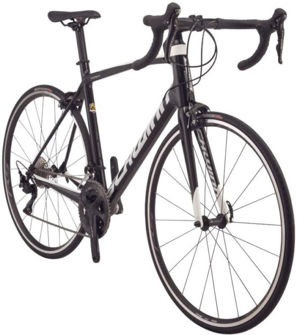 Schwinn Fastback Carbon Road Bike